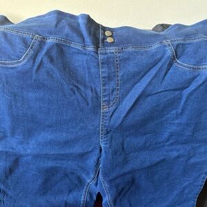 Terra & Sky Women’s Plus High-Rise Jegging